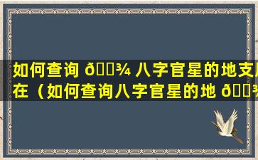 如何查询 🌾 八字官星的地支所在（如何查询八字官星的地 🌾 支所在位置）